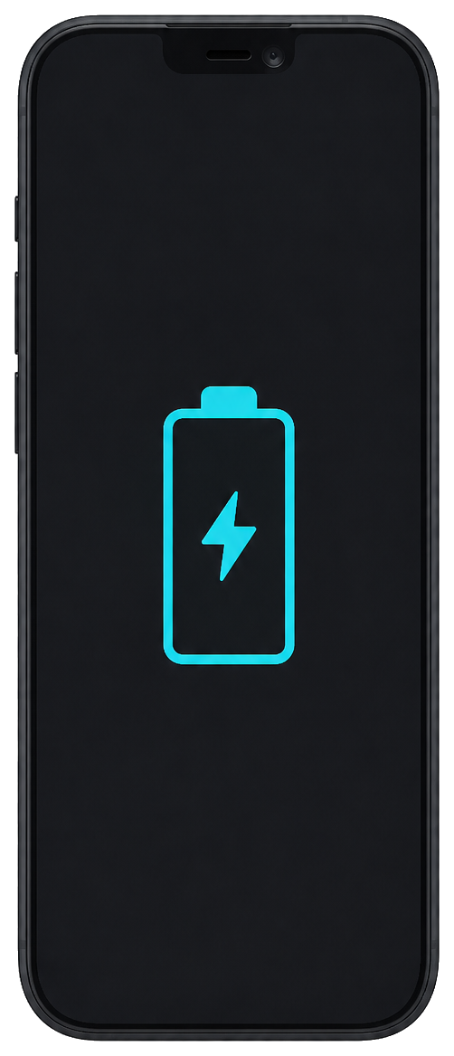 Battery Replacement